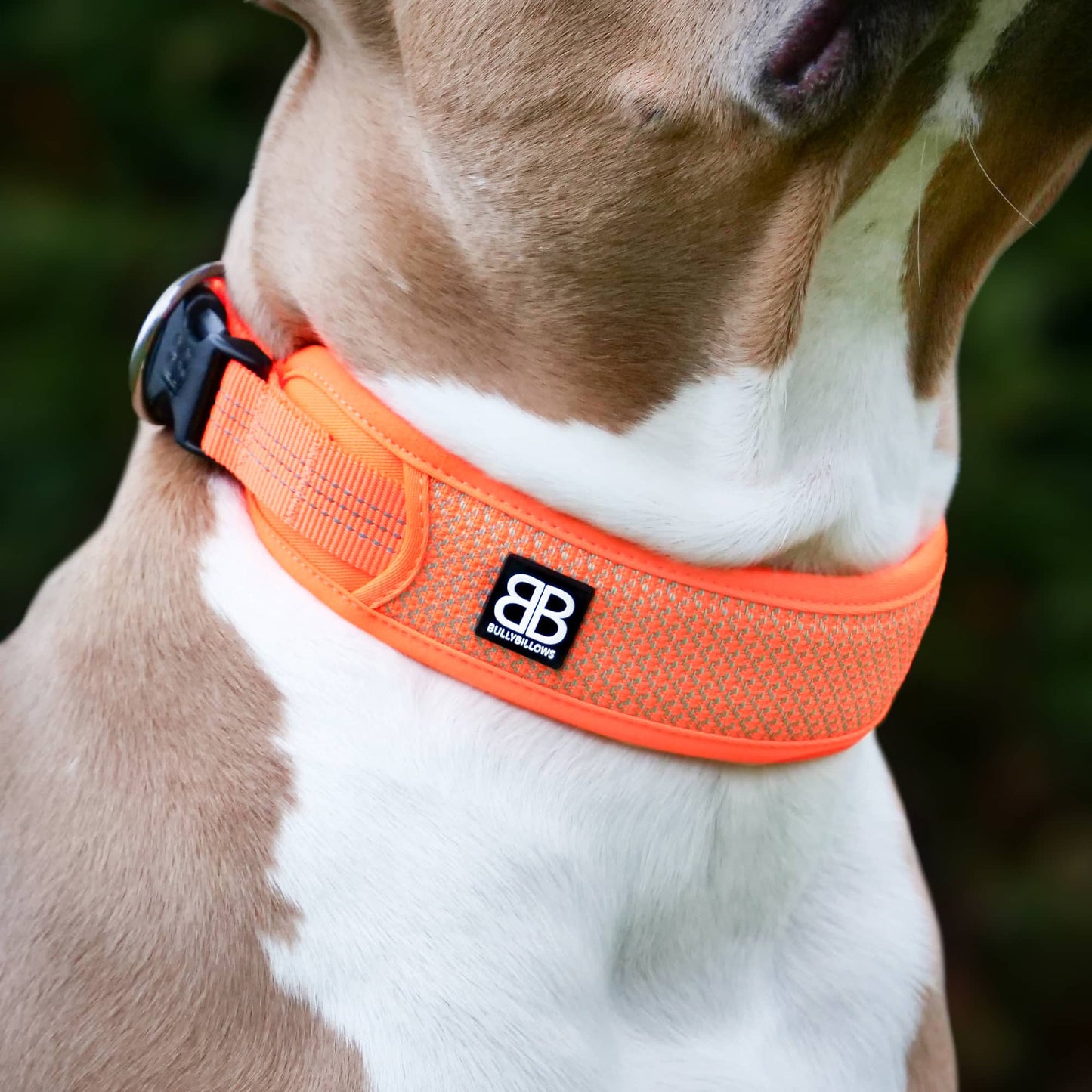 Active Slip N' Clip Collar - Orange