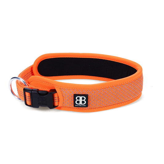 Active Slip N' Clip Collar - Orange