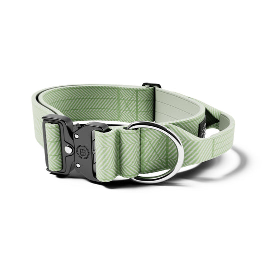 5cm Herringbone Combat® Collar | With Handle & Rated Clip - Mint Green