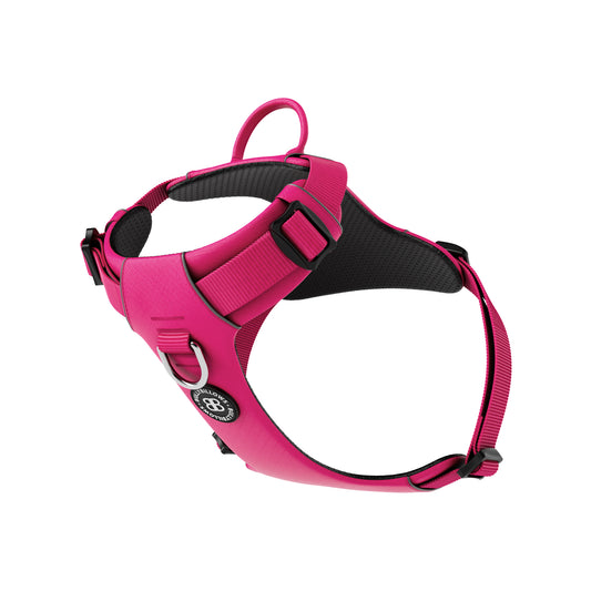 Air Mesh Harness - Anti-Pull, With Handle, Non Restrictive & Adjustable - Carminerose