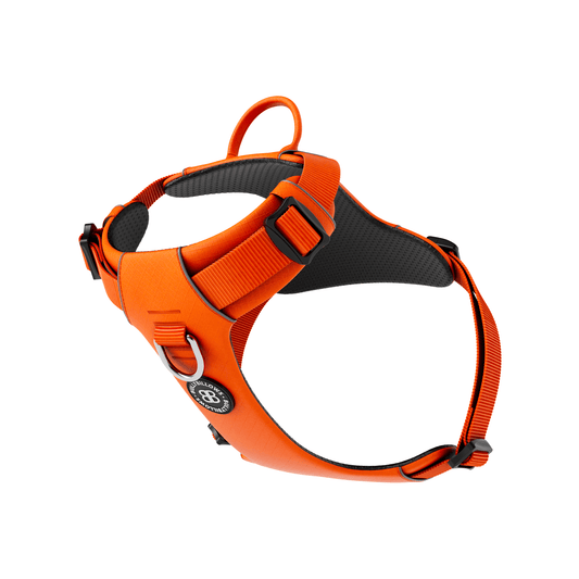 Air Mesh Harness - Anti-Pull, With Handle, Non Restrictive & Adjustable - Orange
