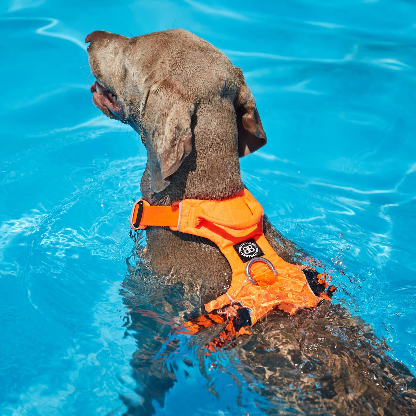 Air Mesh Harness - Anti-Pull, With Handle, Non Restrictive & Adjustable - Pink