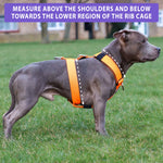 TRI-Harness® | Anti-Pull, Adjustable & Durable - Dog Trainers Choice - Turquoise v2.0