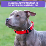 2.5cm Combat® Collar | With Handle & Rated Clip - Military Tan v2.0