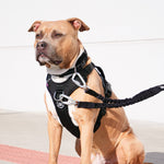 Hurricane Harness - Non Restrictive, With Handle, Adjustable & Reflective - All Breeds - Black