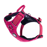 Air Mesh Harness - Anti-Pull, With Handle, Non Restrictive & Adjustable - Carminerose