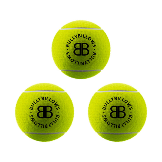Dog Ball - 3x Tennis Balls