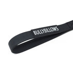 Billowthane® Recall Lead - 10m | Waterproof & Anti-Rust - Matte Platinum | Series 2