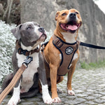 Premium Comfort Tweed Harness | Non Restrictive & Adjustable - Classic Tan