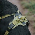 Hurricane Harness - Non Restrictive, With Handle, Adjustable & Reflective - All Breeds - Black