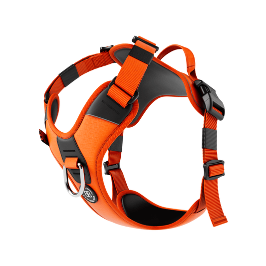 Hurricane Harness - Non Restrictive, With Handle, Adjustable & Reflective - All Breeds - Orange
