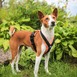 Slip on Padded Comfort Harness | Non Restrictive & Reflective - Black & Yellow