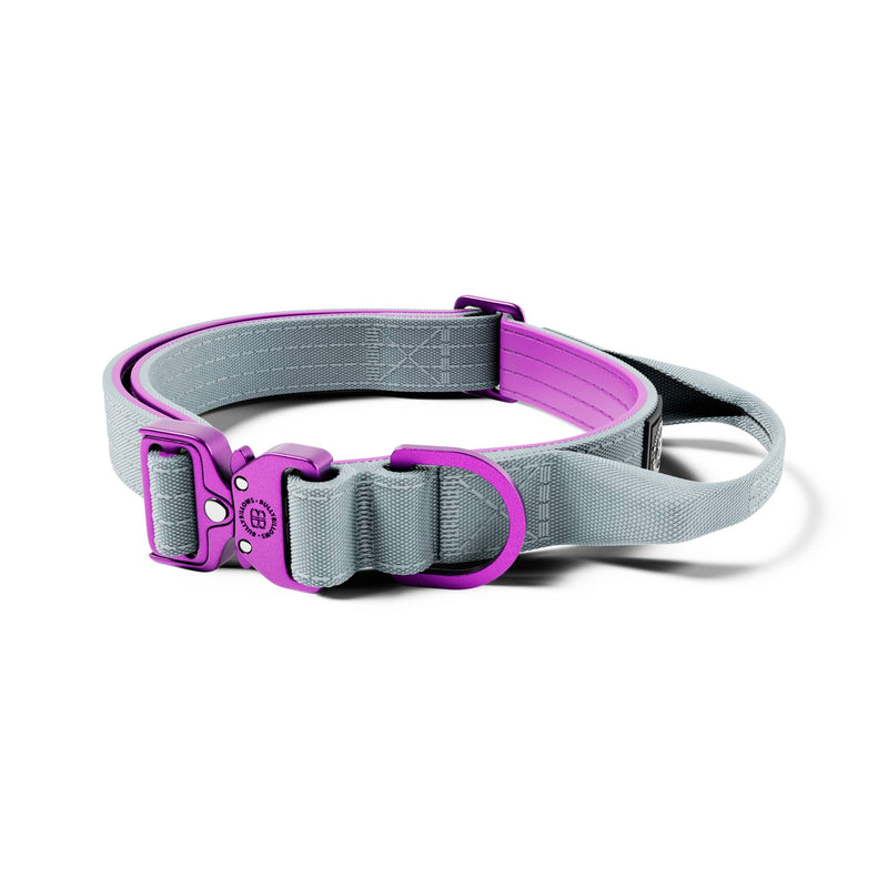 2.5cm LIGHTER Combat® Collar | With Handle Rated Clip - Purple & Metal Grey