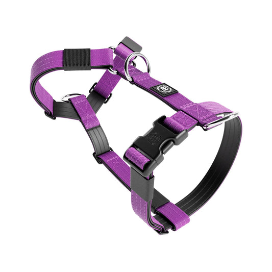 Training No Pull TRI-Harness® | Small Breeds - Purple