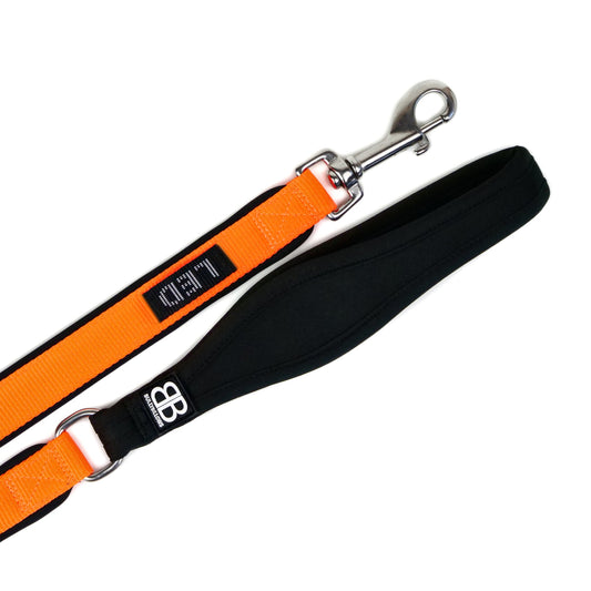 1.4m Step In Lead - Orange