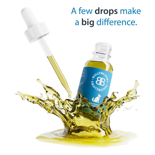 Premium Hemp & Omega Droplets | Add to Food or Water - 1000mg