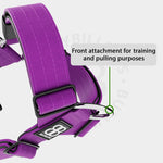 TRI-Harness® | Anti-Pull, Adjustable & Durable - Dog Trainers Choice - Purple v2.0