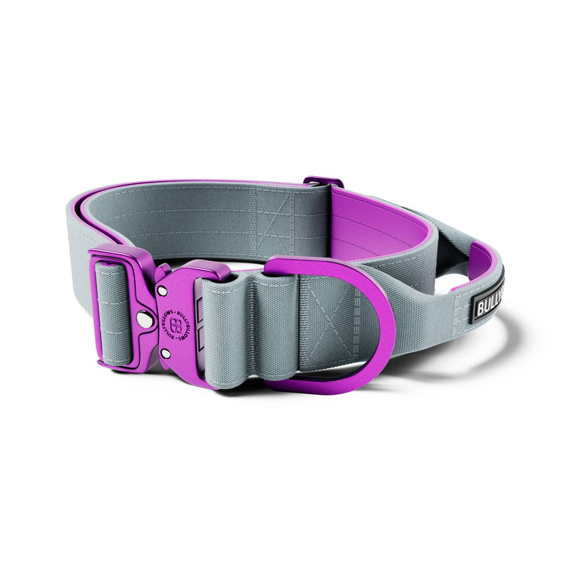 5cm LIGHTER Combat® Collar | With Handle Rated Clip - Purple & Metal Grey