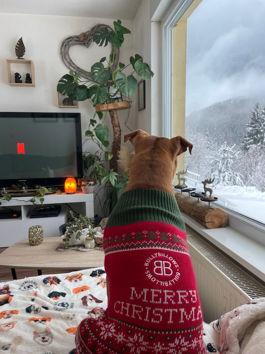 Limited Edition Christmas Fleece