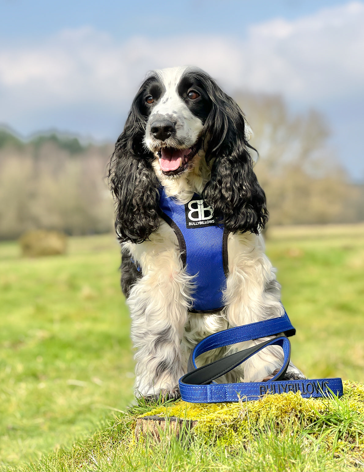 Premium Comfort Harness | Non Restrictive & Adjustable - Blue v2.0