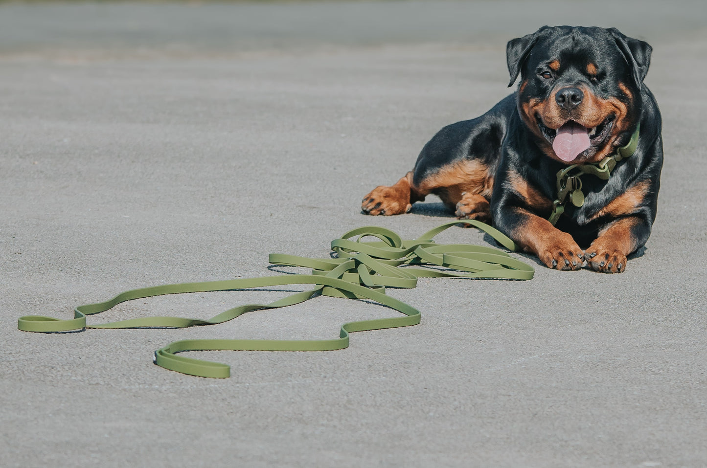 10m Recall Billowthane® Lead | Waterproof - Matte Khaki