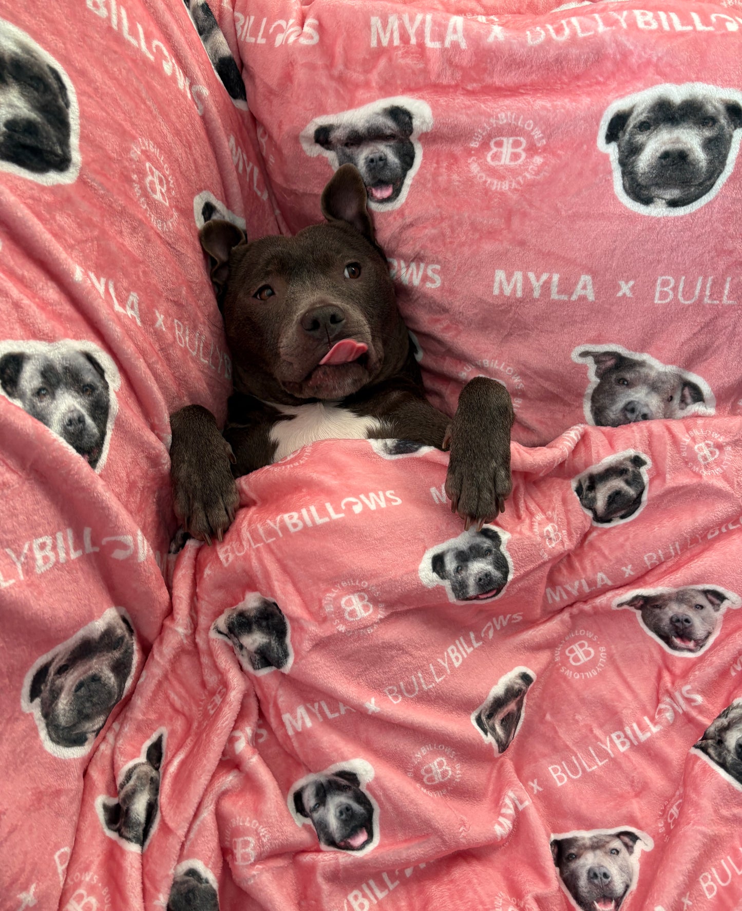MYLA x BullyBillows | Luxury Dog & Human Blanket