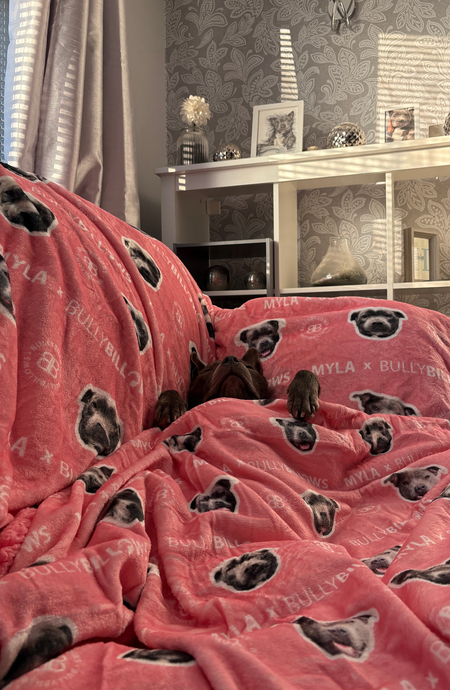 MYLA x BullyBillows | Luxury Dog & Human Blanket