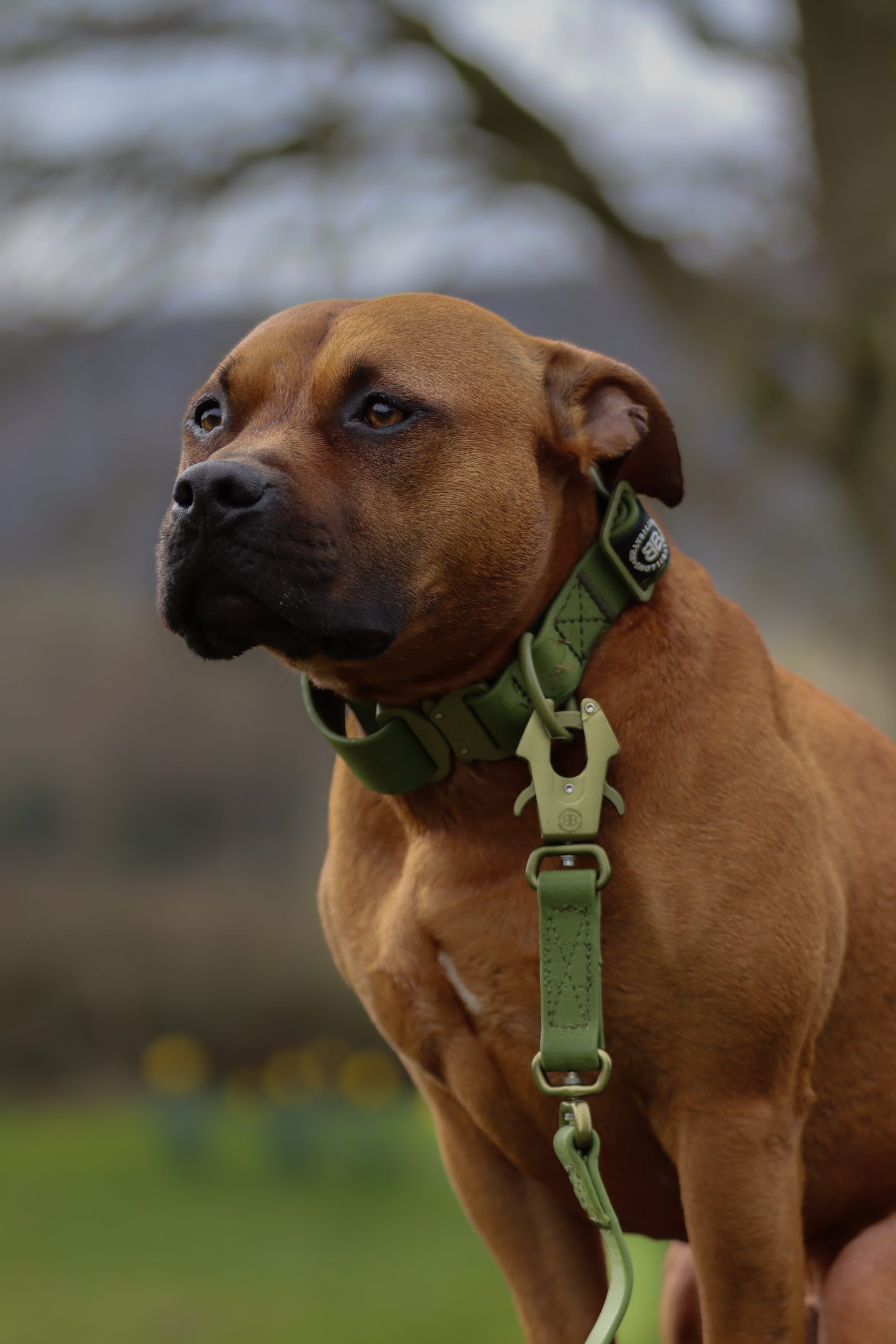 4cm Combat Billowthane® Collar | Waterproof - Khaki