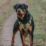 Hurricane Harness - Non Restrictive, With Handle, Adjustable & Reflective - All Breeds - Black