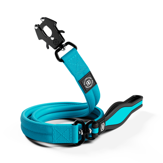1.2m Mini Combat® Lead - Light Blue