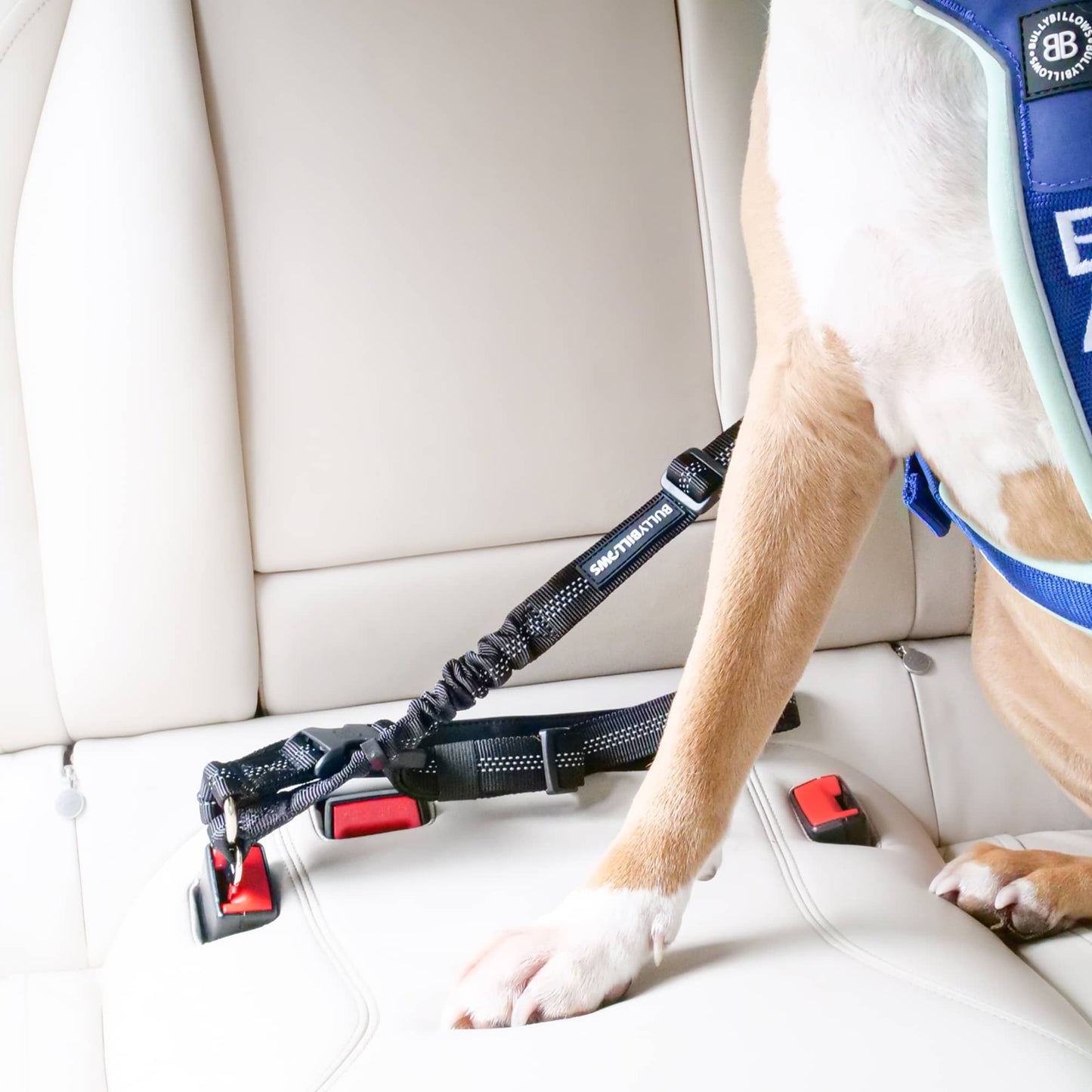 Seatbelt Safety Strap | Car Headrest - Travel Accessory