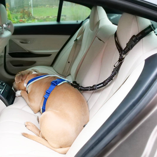 Seatbelt Safety Strap | Car Headrest - Travel Accessory