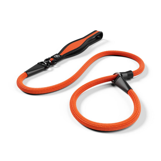 Slip Lead | Anti-Pull & Anti-Choking Training Lead - Orange