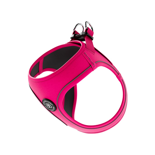 Step in Harness | Series 2 - Lightweight - Carminerose