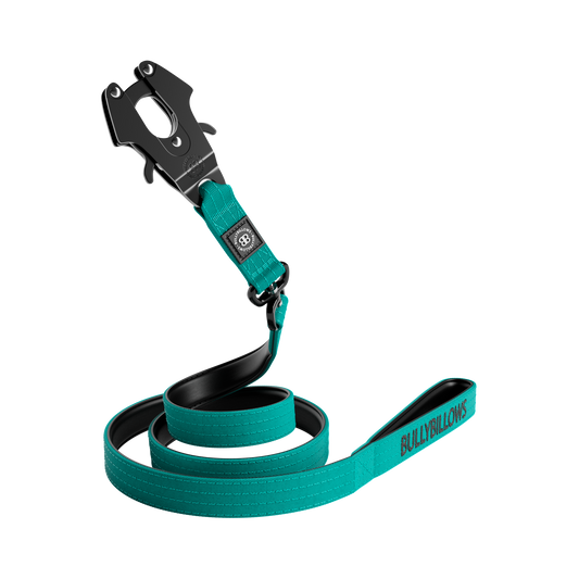 1.4m Swivel Combat Lead | Neoprene Lined, Secure Rated Clip with Soft Handle - Turquoise