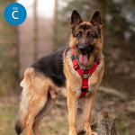 TRI-Harness® | Anti-Pull, Adjustable & Durable - Dog Trainers Choice - CAMO Bubblegum v2.0