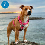 TRI-Harness® | Anti-Pull, Adjustable & Durable - Dog Trainers Choice - CAMO Bubblegum v2.0