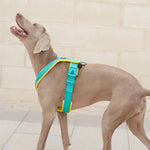 Slip on Padded Comfort Harness | Non Restrictive & Reflective - Black & Yellow