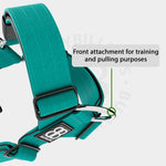 TRI-Harness® | Anti-Pull, Adjustable & Durable - Dog Trainers Choice - Turquoise v2.0