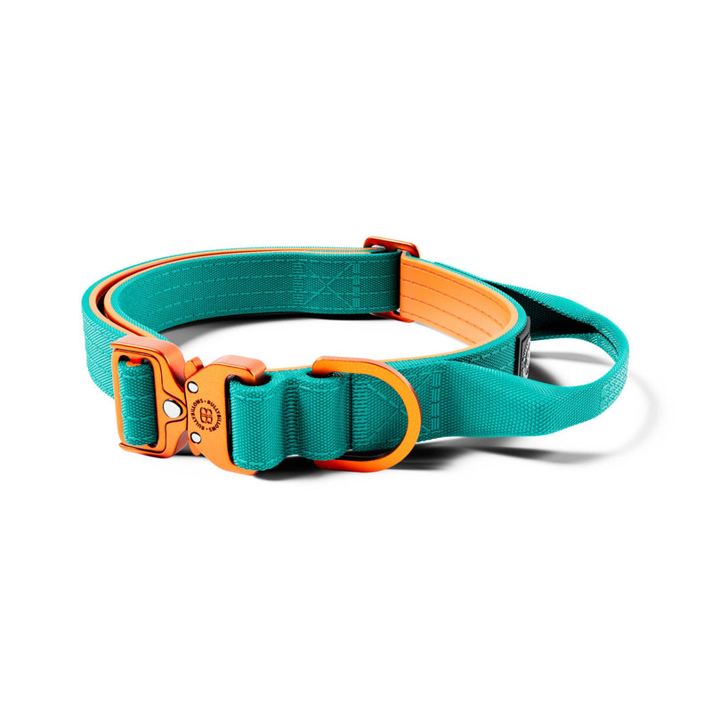 2.5cm LIGHTER Combat® Collar | With Handle Rated Clip - Turquoise & Orange
