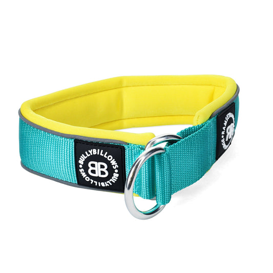 5cm Slip on Collar | Soft Padded & Reflective - Turquoise & Yellow v2.0