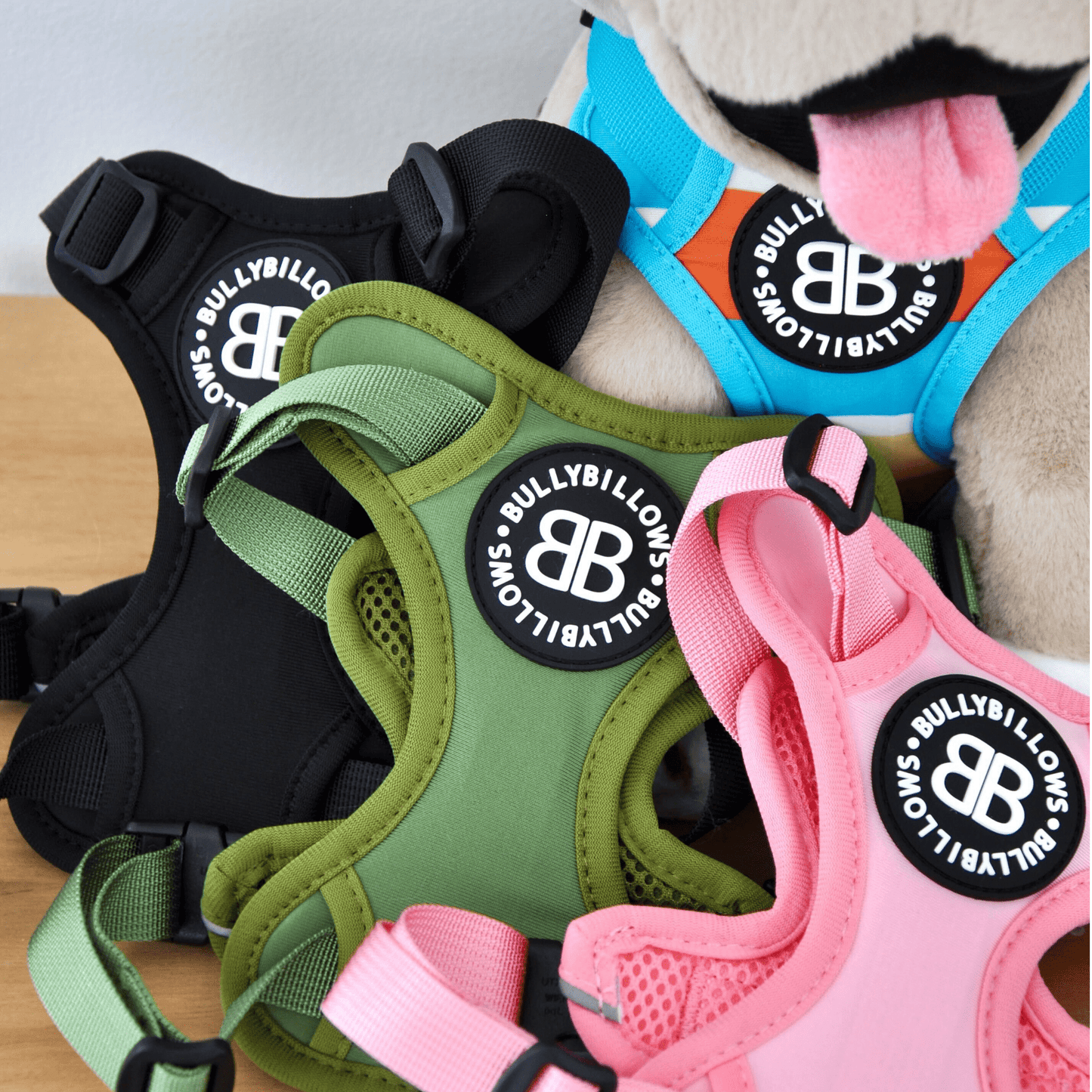 XL Bully Teddy Bear Harness | Black