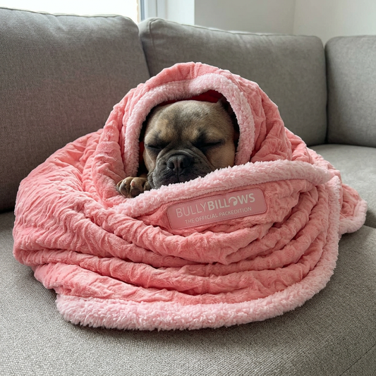Solid Pink Edition | Luxury Human & Dog Blanket