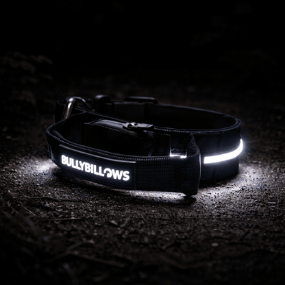 2.5cm Light Up LED Combat® Collar | Handle - Black