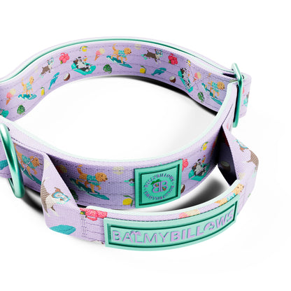 2.5cm Lighter Combat® Collar | With Handle & Secure Clip - BalmyBillows Purple