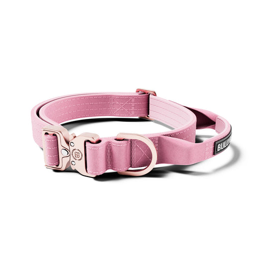 2.5cm Lighter Combat® Collar | Handle & Rated Clip - Pink x Pink