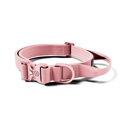 2.5cm Lighter Combat® Collar | Handle & Rated Clip - Pink x Pink