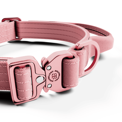 2.5cm Lighter Combat® Collar | Handle & Rated Clip - Pink x Pink