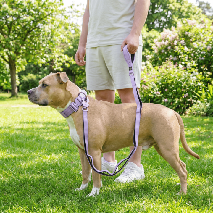 Ladder Combat® Multiple Handles Lead - Lavender