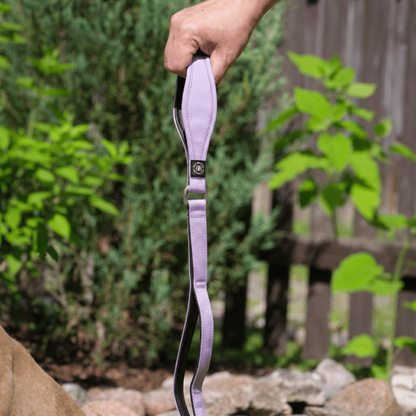 1.4m Lighter Swivel Combat Lead | Anti-Tangle & Secure Clip - Lavender X Ube